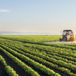 The Project is supporting the government's efforts to increase the land area available for agriculture, in line with the national development strategy Vision 2030.